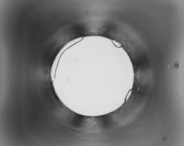 X0000103250423200808281101