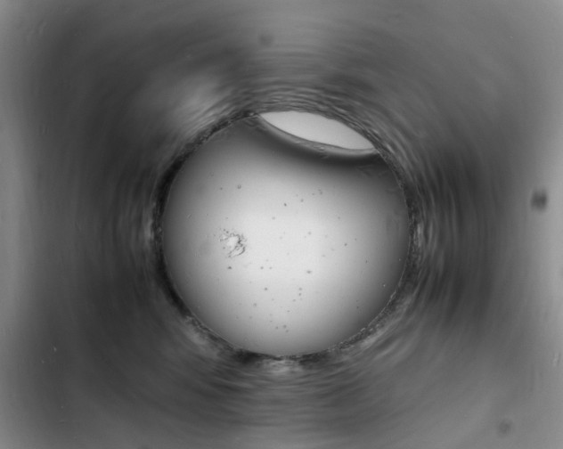 X0000103250424200808281101