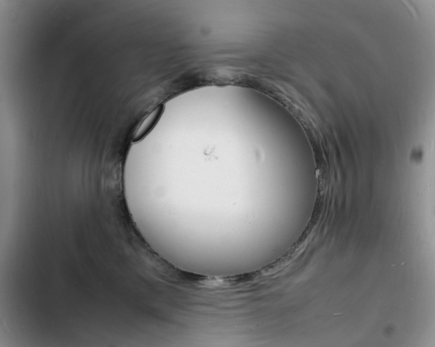 X0000103250425200808281101