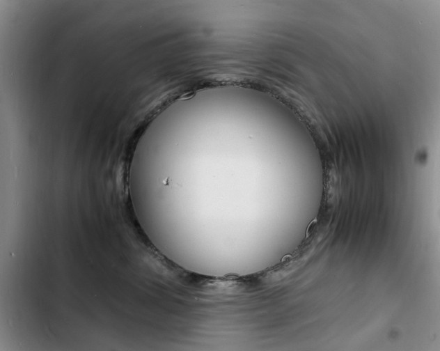 X0000103250428200808281101