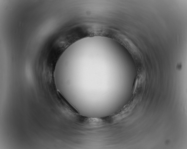 X0000103250429200808281101