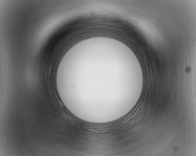 X0000103250431200808281101