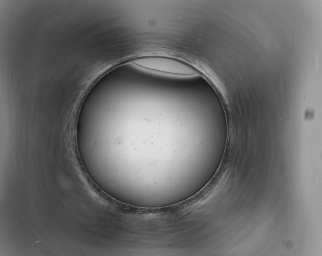 X0000103250433200808281100