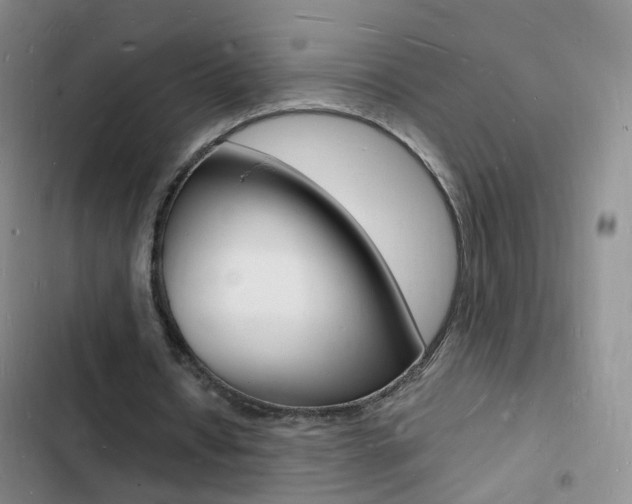 X0000103250434200808281100