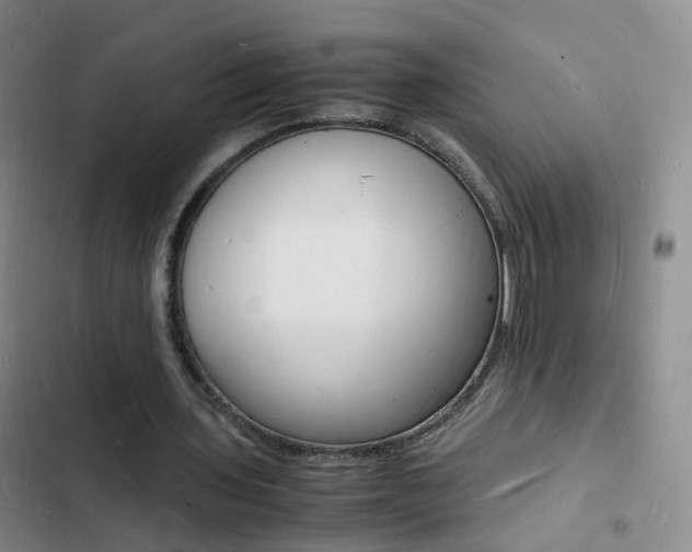 X0000103250435200808281100