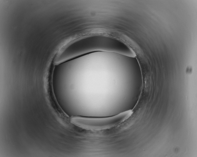 X0000103250436200808281100