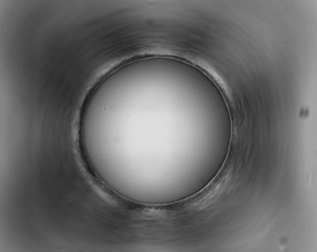 X0000103250437200808281100