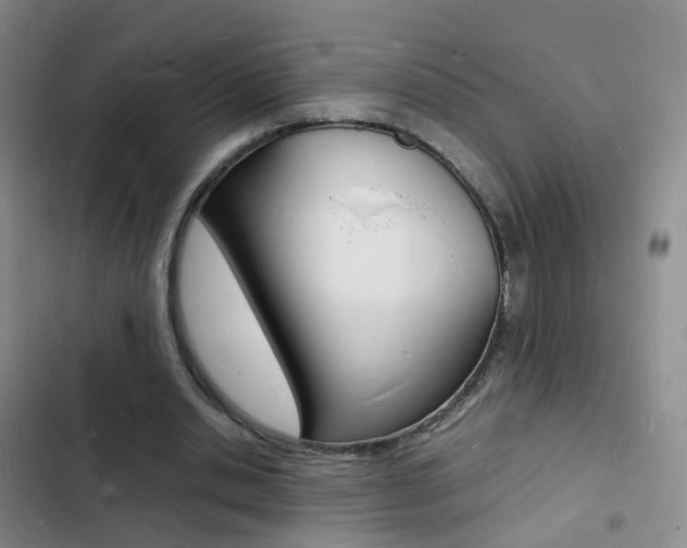 X0000103250438200808281100