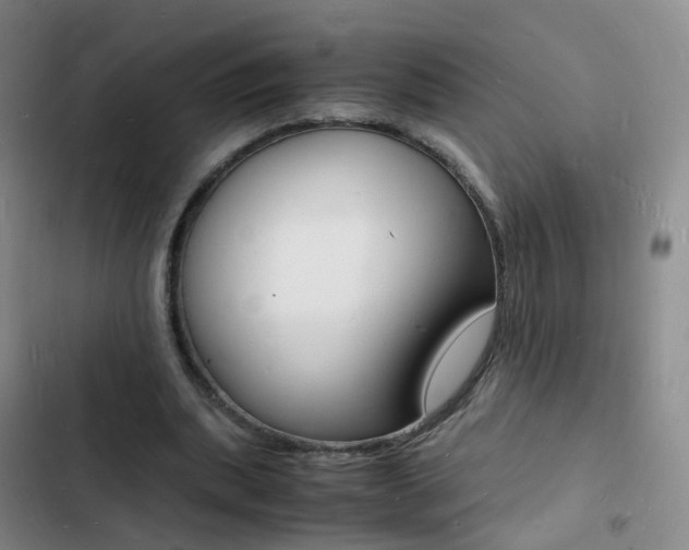 X0000103250439200808281100