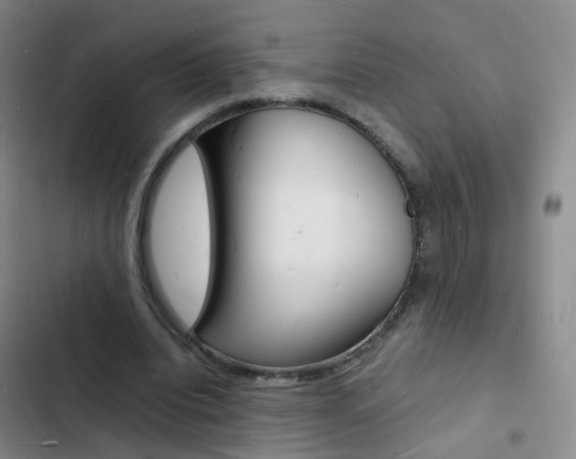 X0000103250440200808281100