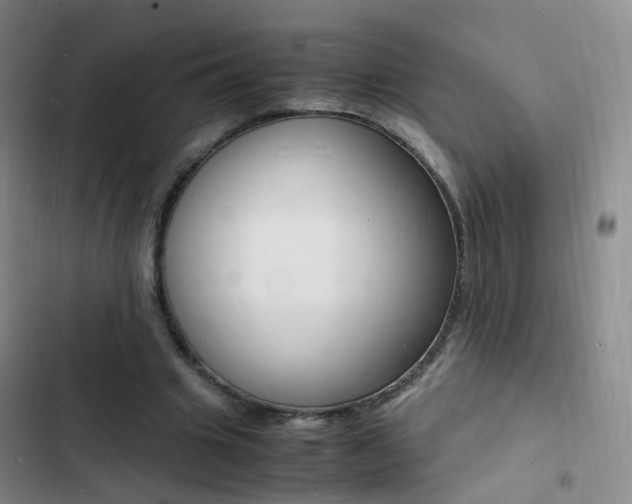 X0000103250441200808281100