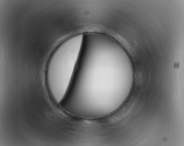 X0000103250442200808281100