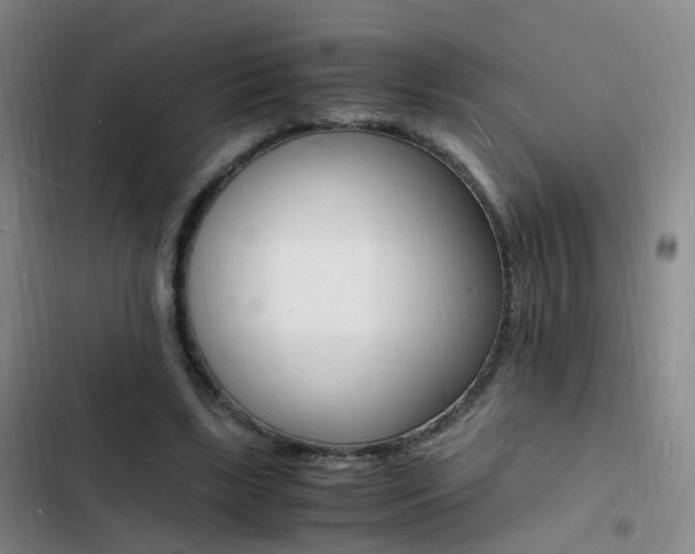 X0000103250443200808281100