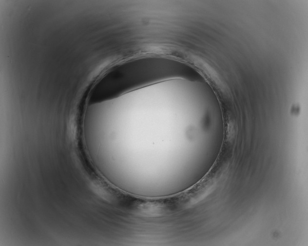 X0000103250444200808281100