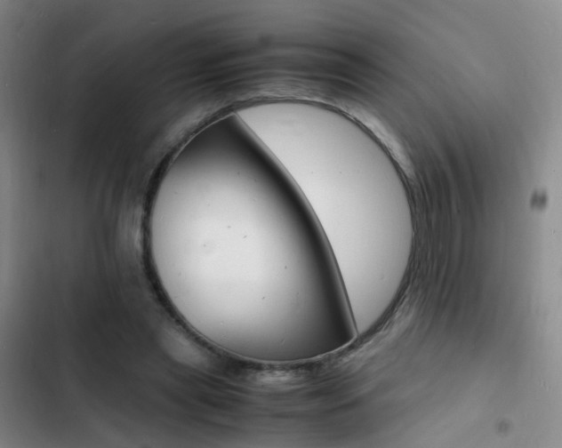 X0000103250445200808281100