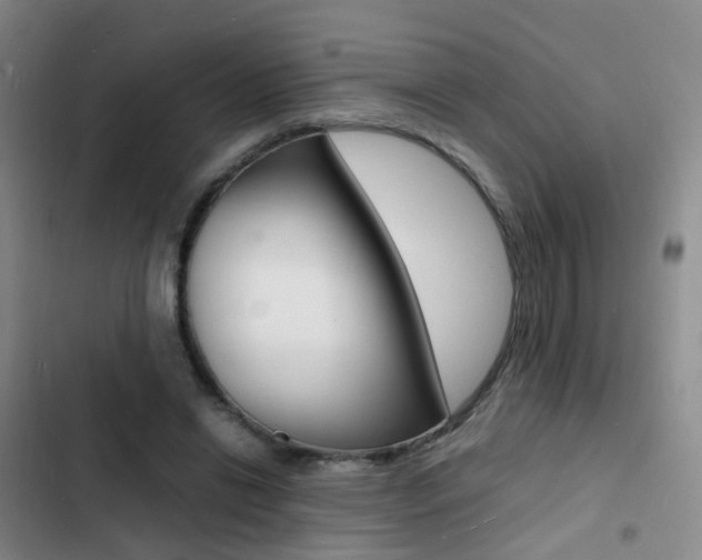 X0000103250446200808281100