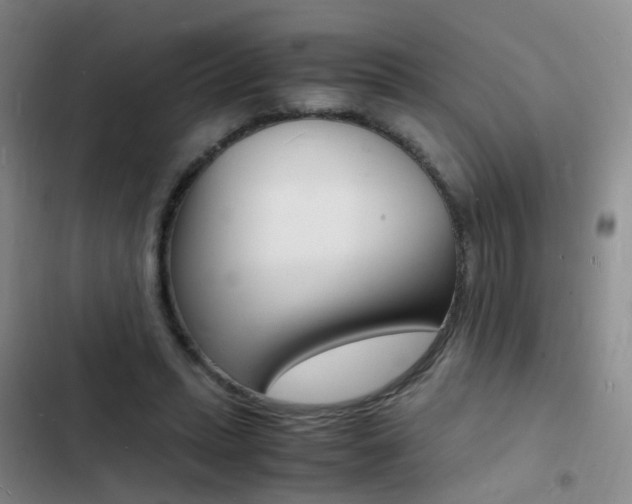 X0000103250447200808281100