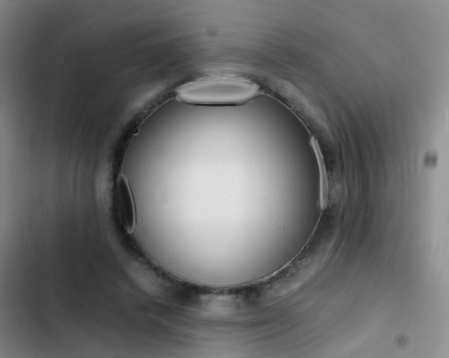 X0000103250448200808281100