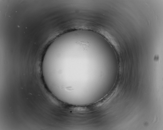 X0000103250449200808281100