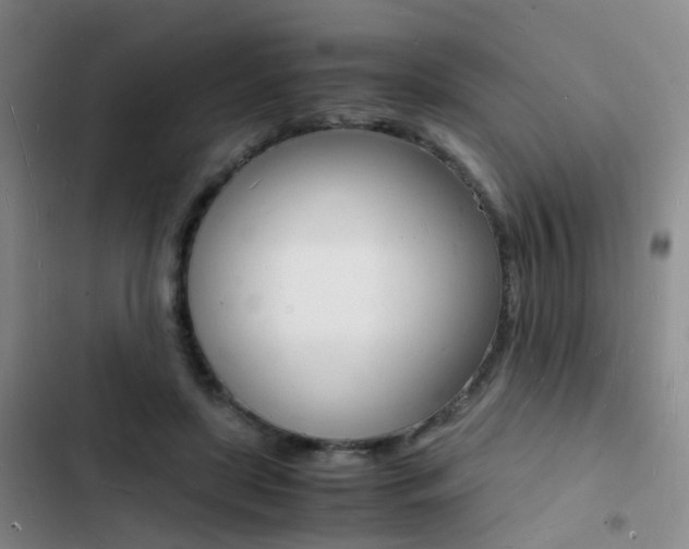 X0000103250451200808281100