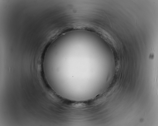 X0000103250452200808281100
