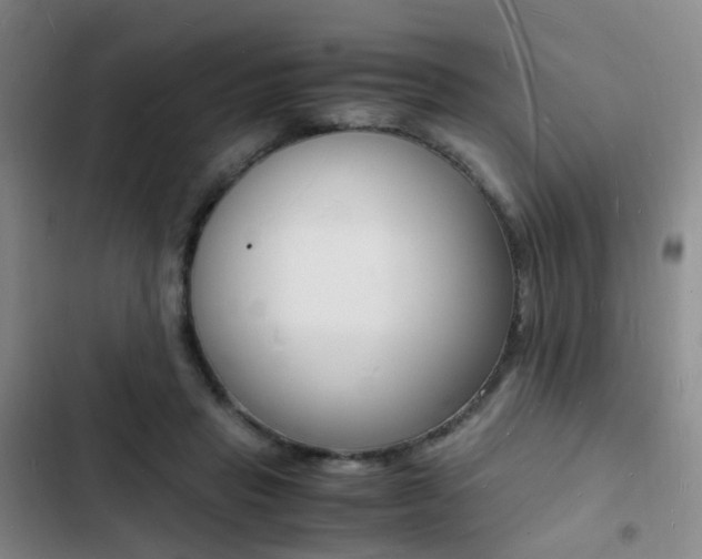 X0000103250453200808281100