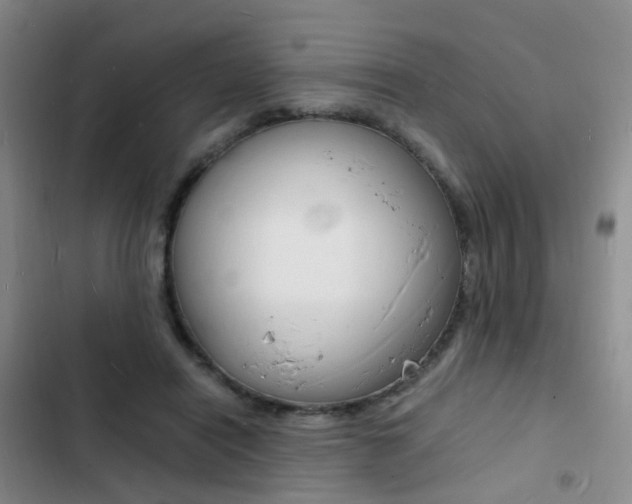 X0000103250454200808281100