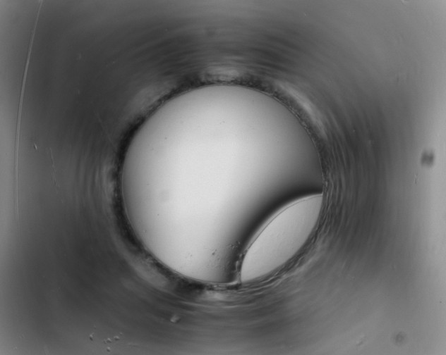 X0000103250455200808281100