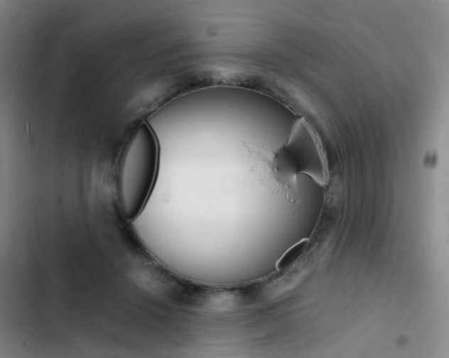 X0000103250456200808281100