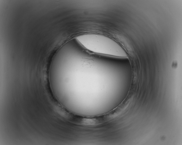 X0000103250457200808281100