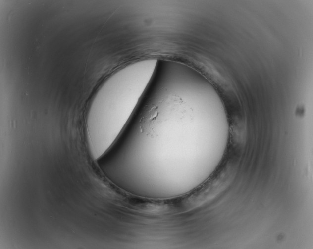 X0000103250458200808281100