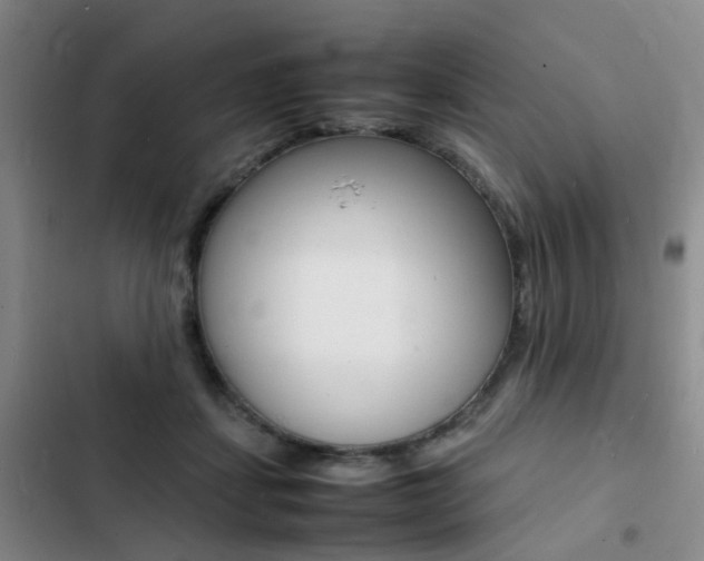 X0000103250459200808281100