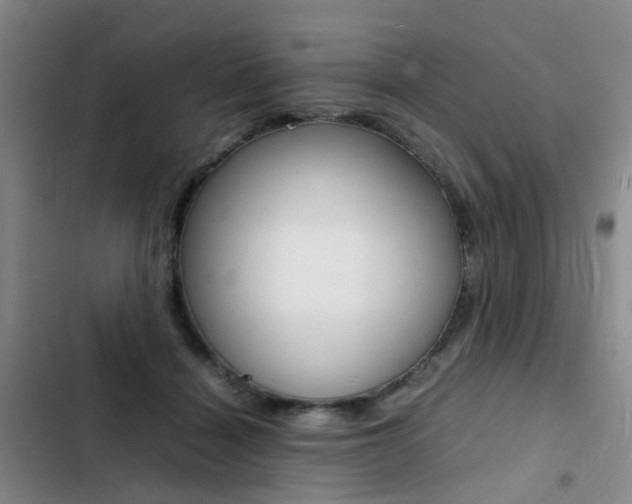 X0000103250460200808281100