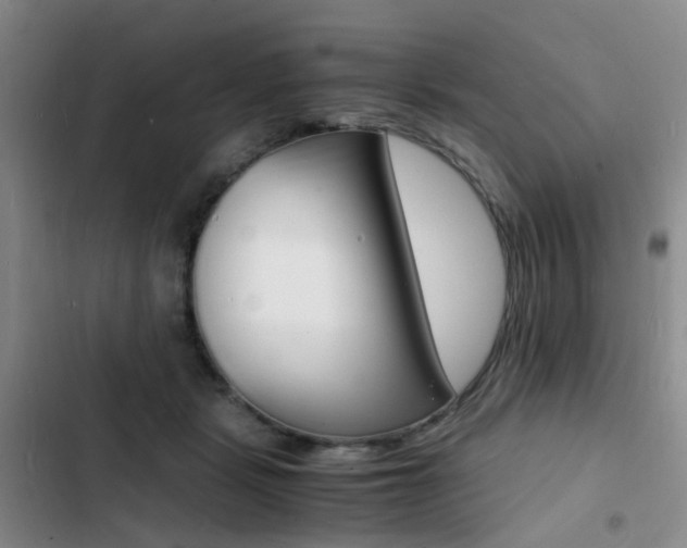 X0000103250461200808281100
