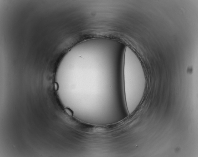X0000103250462200808281100