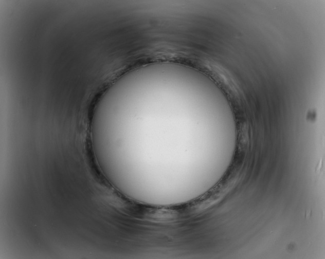 X0000103250463200808281100