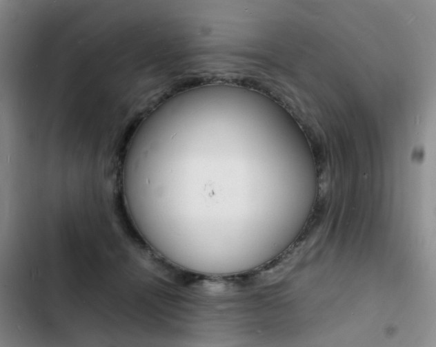 X0000103250464200808281100