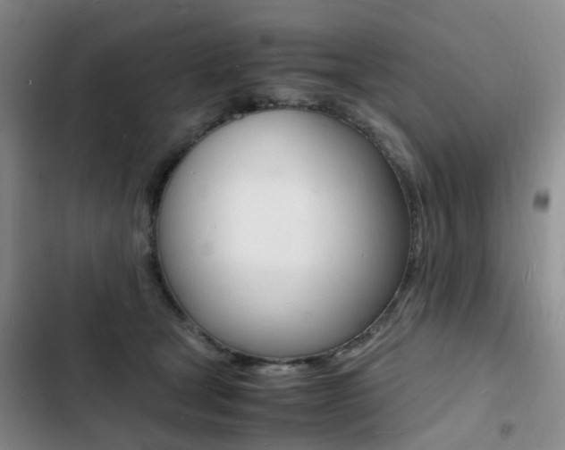 X0000103250465200808281100