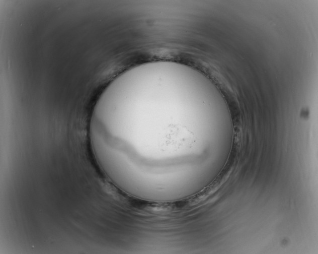X0000103250466200808281100