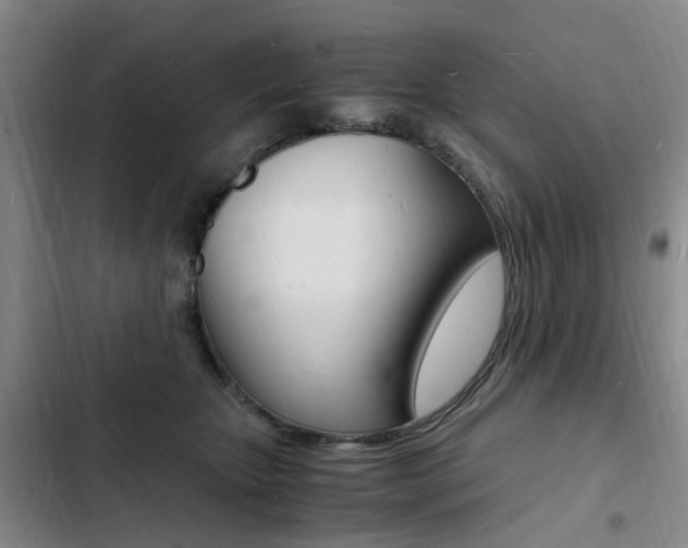 X0000103250467200808281100