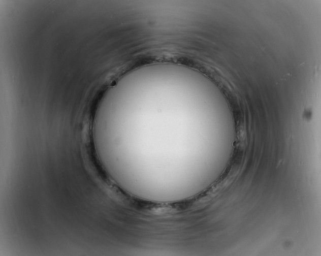 X0000103250468200808281100