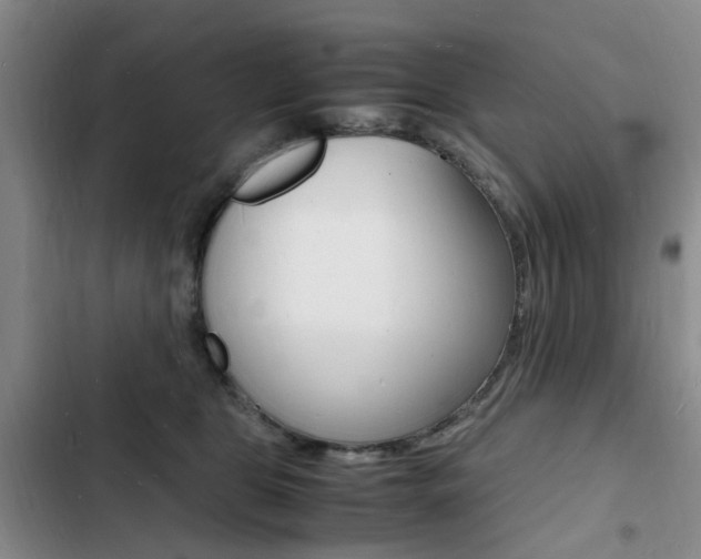 X0000103250469200808281100