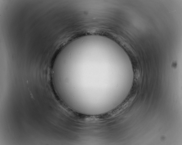 X0000103250470200808281100