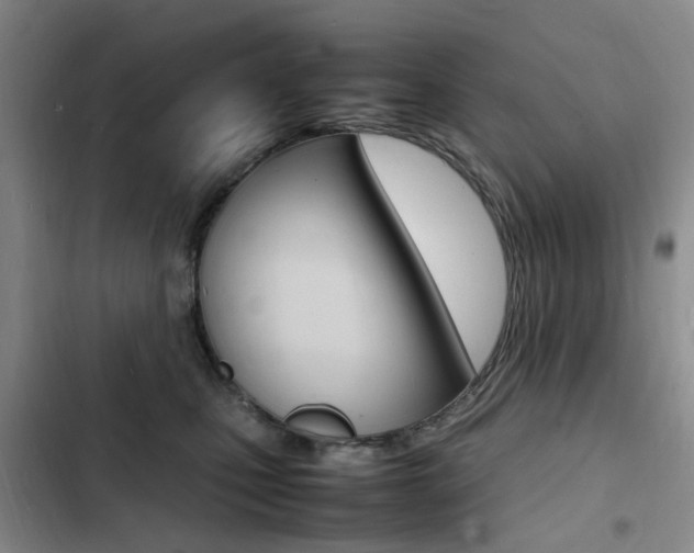 X0000103250471200808281100
