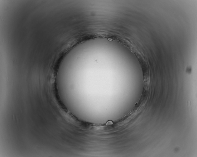 X0000103250472200808281100