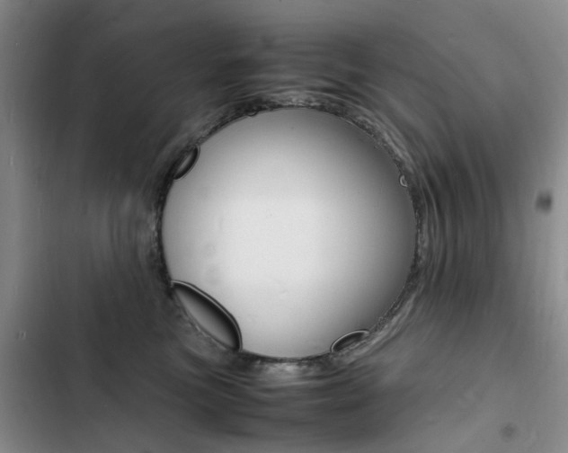 X0000103250473200808281100