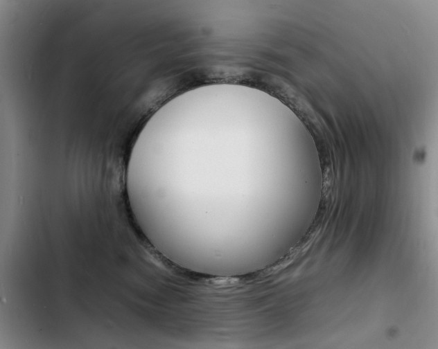 X0000103250474200808281101
