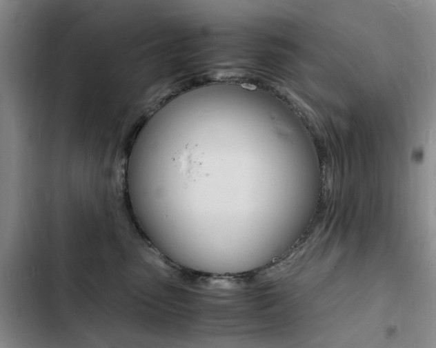 X0000103250475200808281101