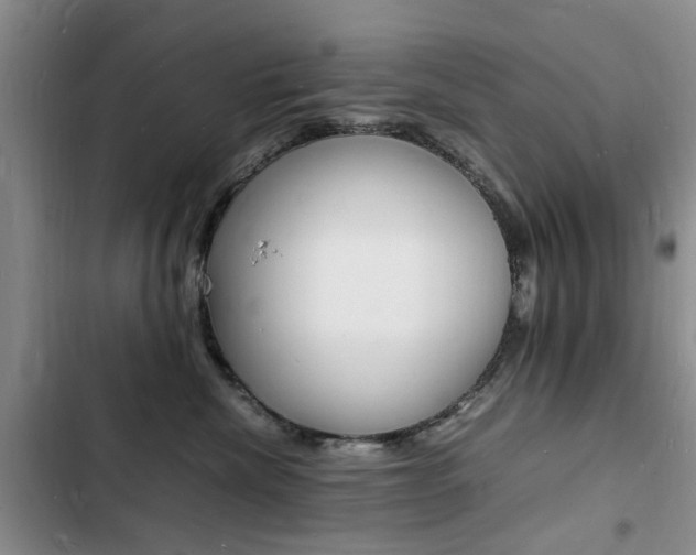 X0000103250476200808281101