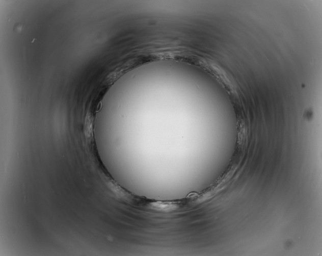 X0000103250477200808281101